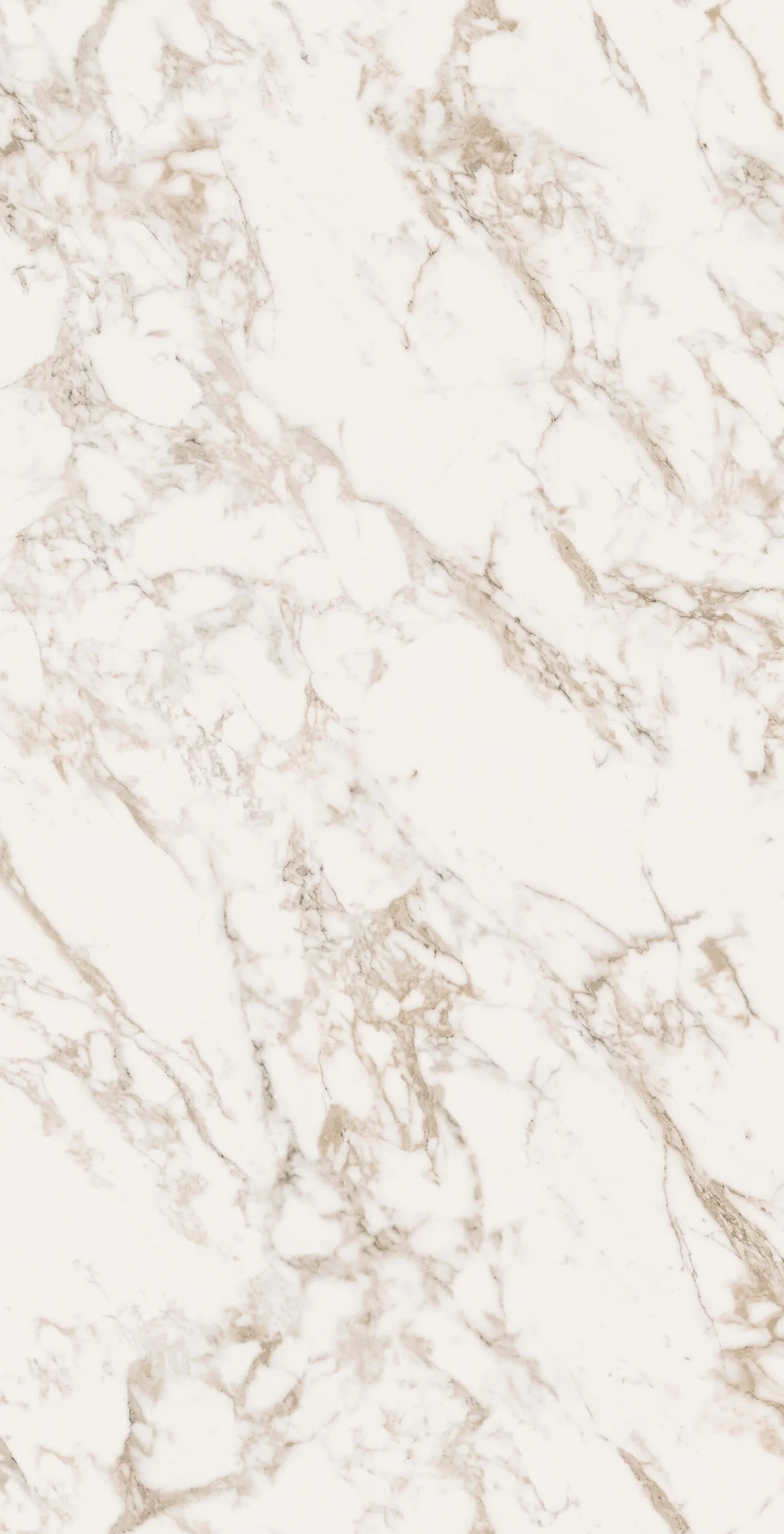 CALACATTA BROWN