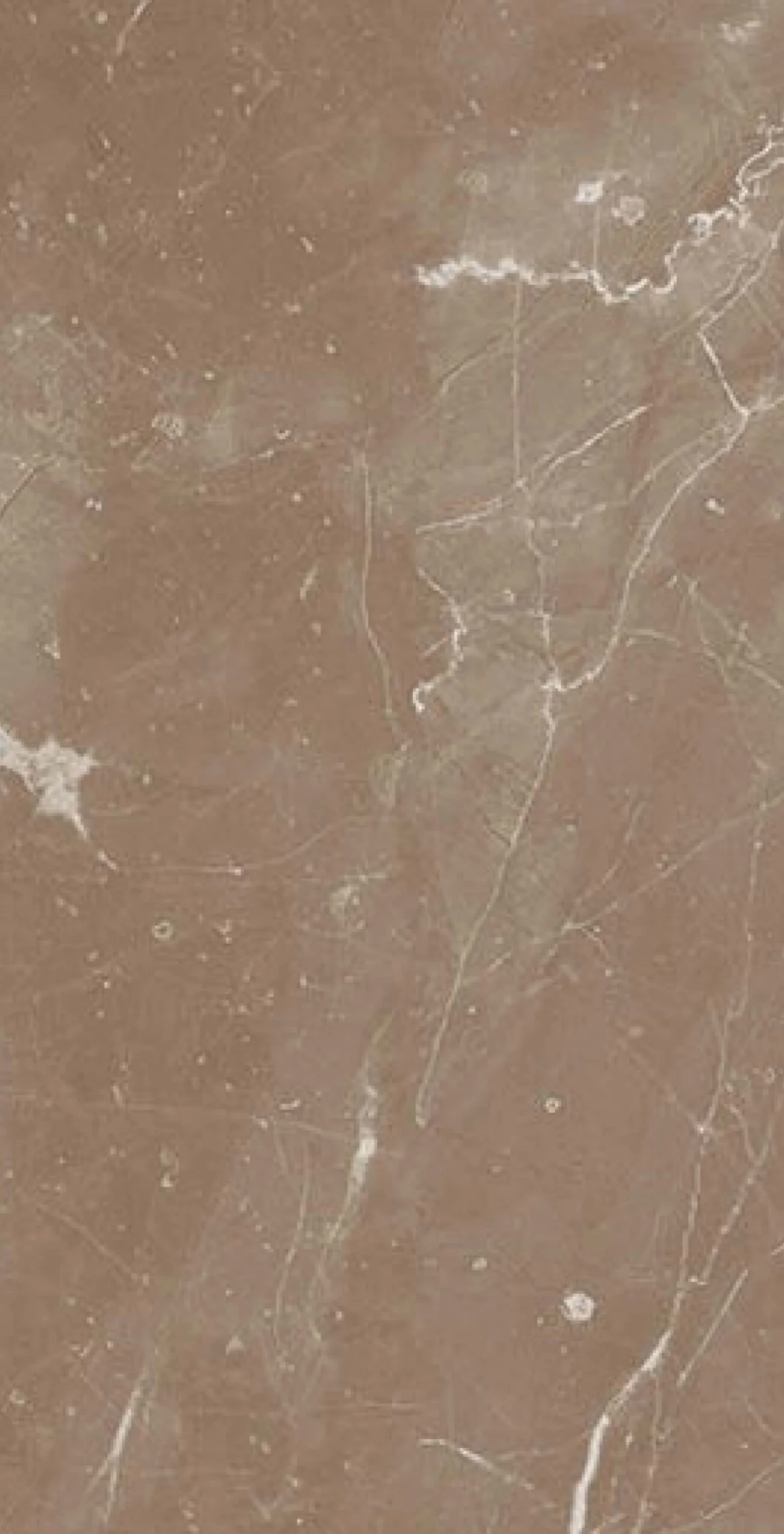 FOSSILE BEIGE