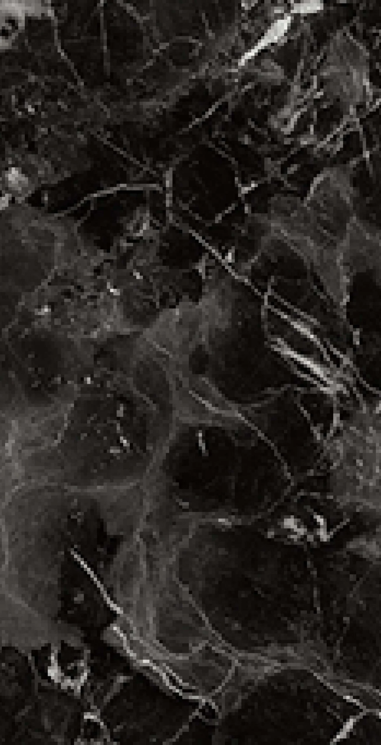MARMO NERO IMPERO