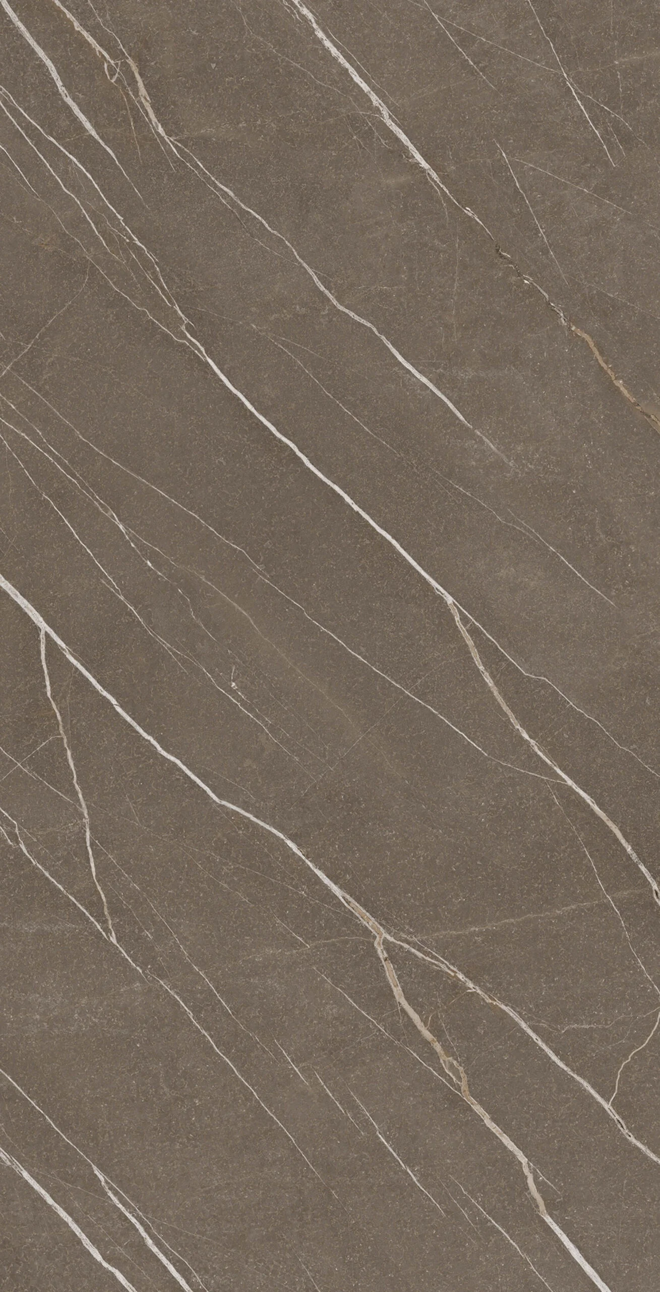 PIAVE GRIGIO