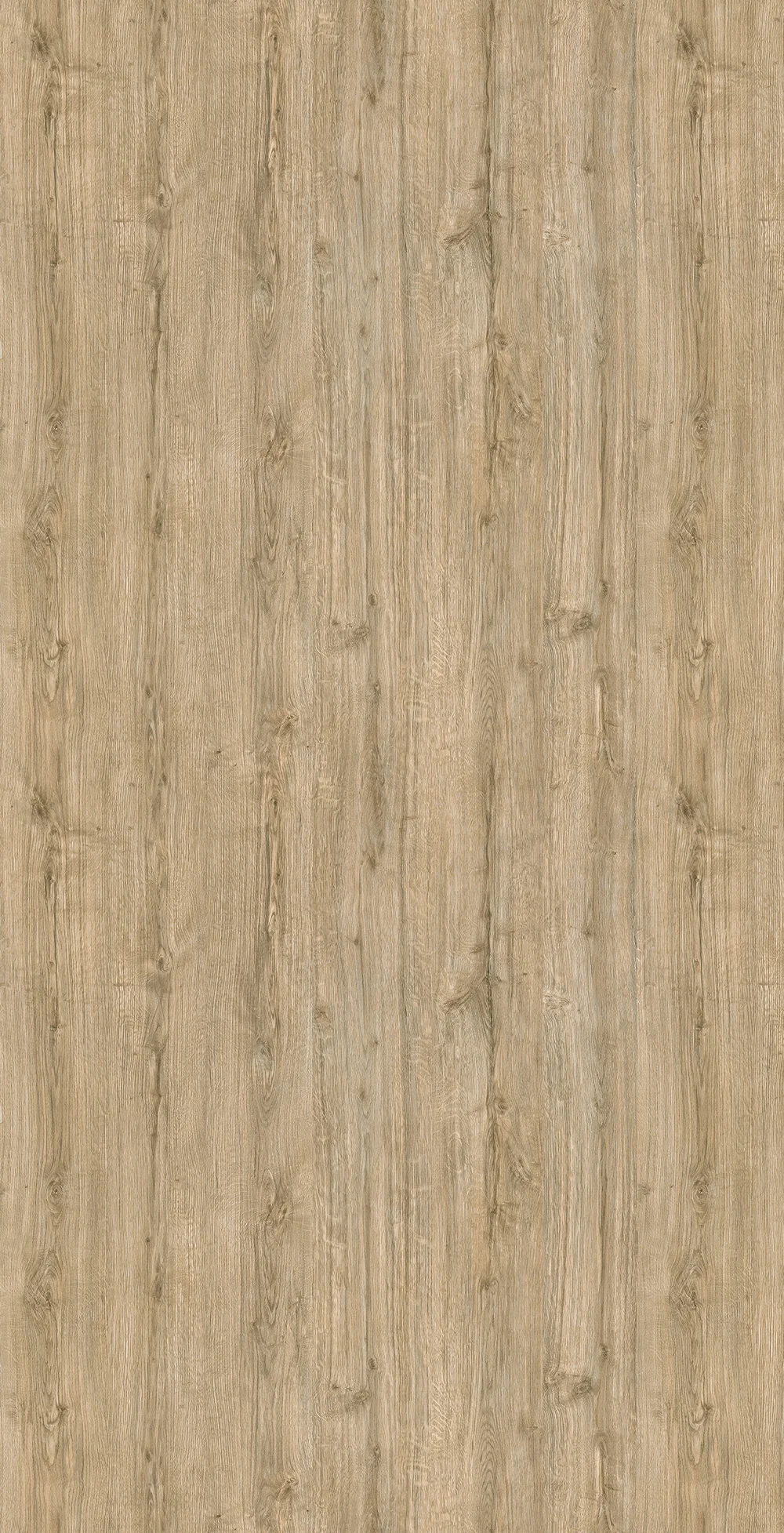 QUERCIA