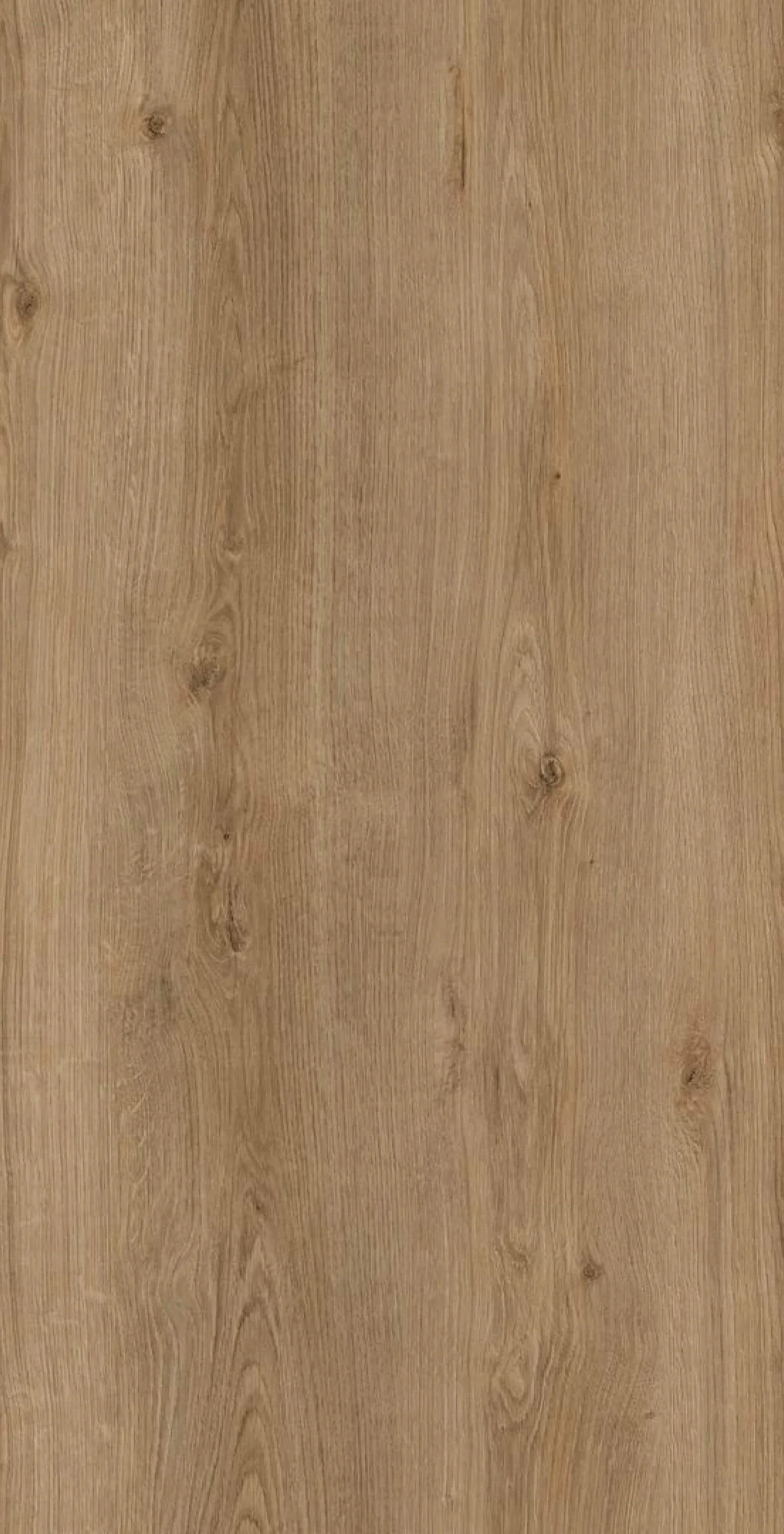 ROVERE BIONDO