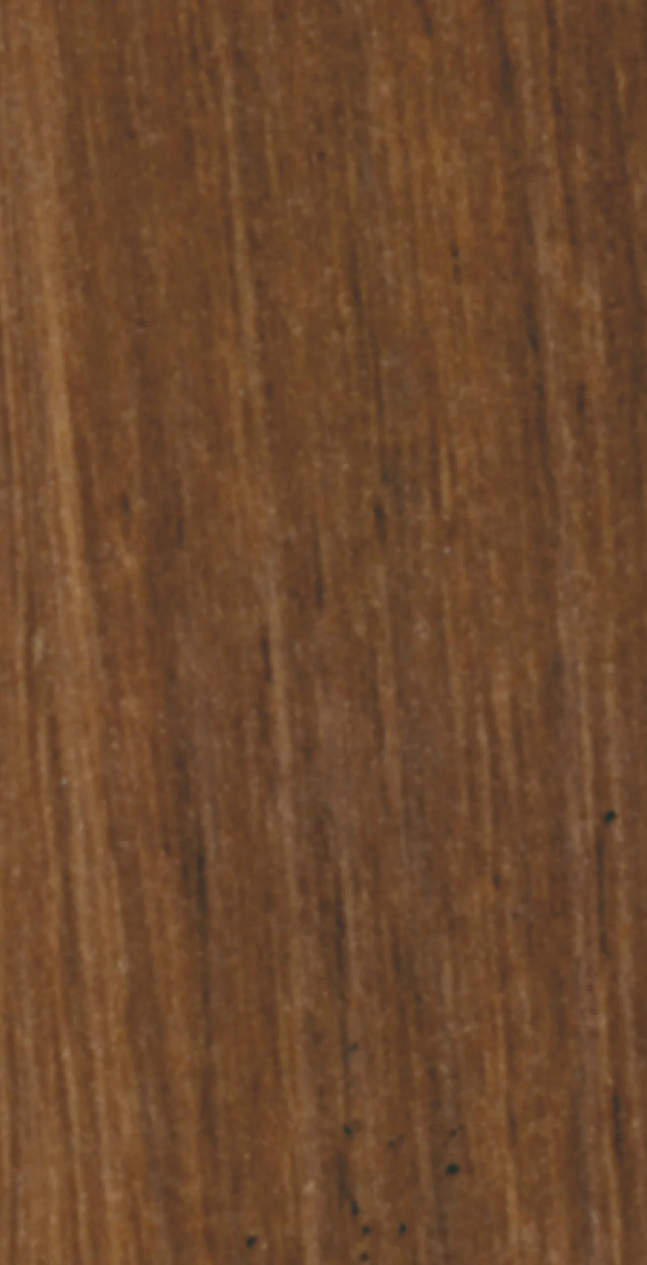 ROVERE CLUB