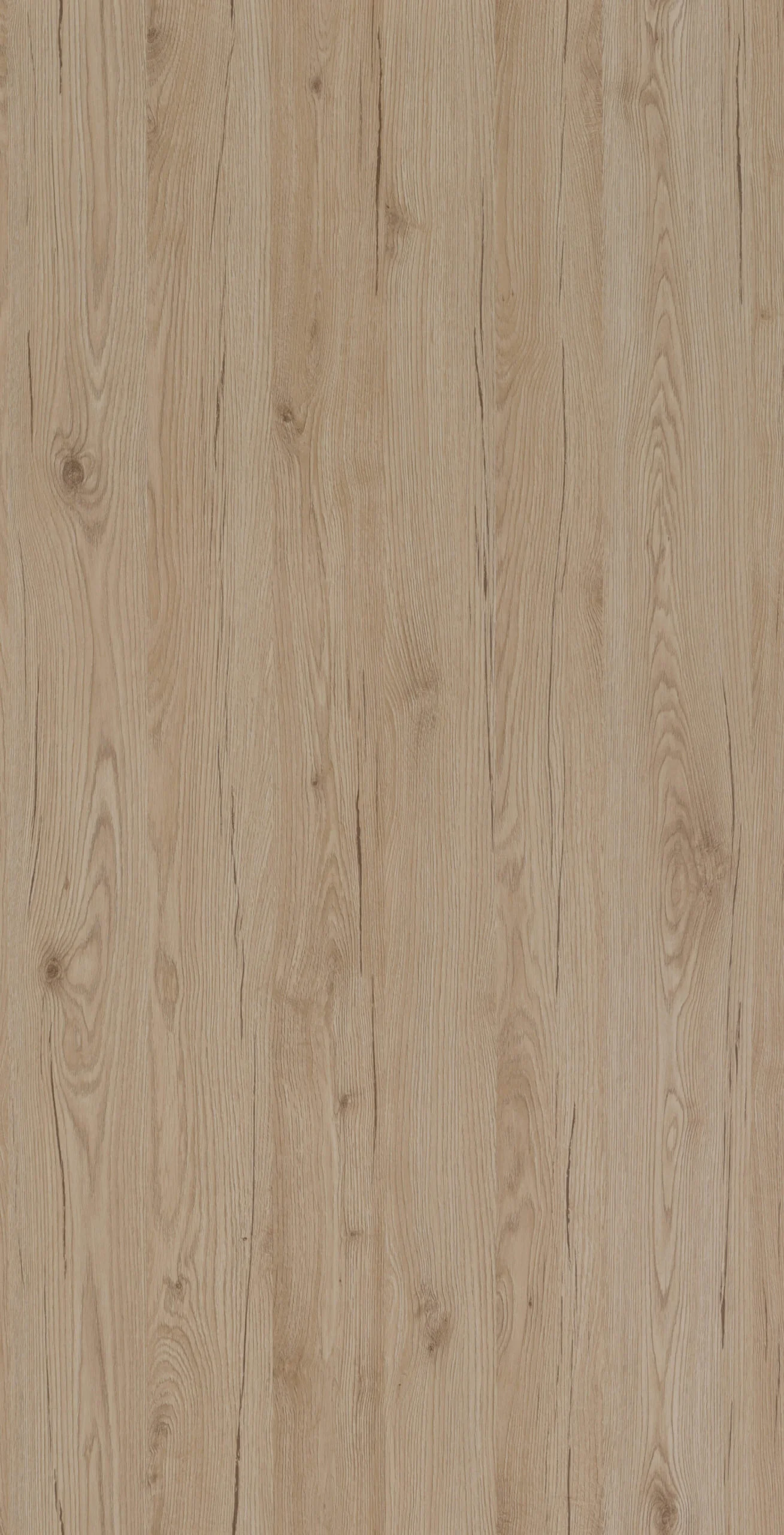 ROVERE DERBY